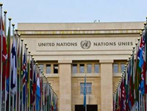 UN Peacekeeping Cabin Military Camp Project