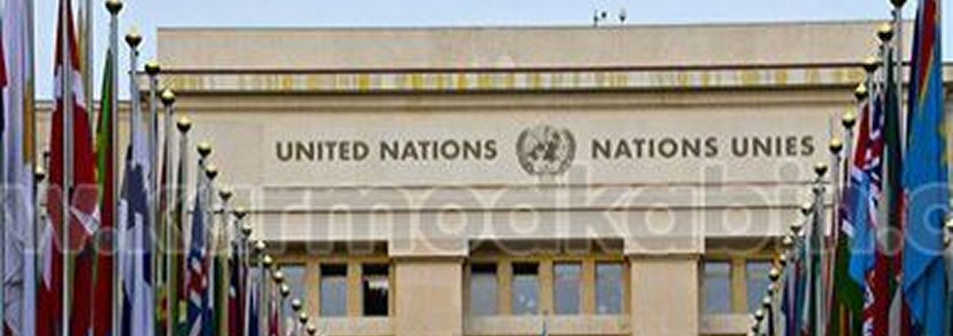 UN Peacekeeping Cabin Military Camp Project